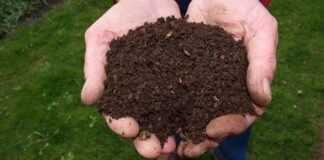 Compostage partagé dans le village compost partagé Soumont